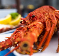 Freycinet Marine Farm - Accommodation Cairns