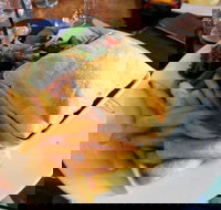 Old City Bank Bar and Brasserie - Accommodation Cairns