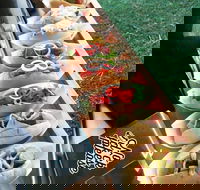 Balter Brewing Company