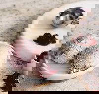 Gelatissimo - Artarmon - Accommodation Cairns