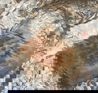 Mad Mex Fresh Mexican Grill - Accommodation Cairns