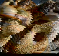 NYC Bagel Deli - Brisbane CBD - Accommodation Cairns