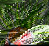 Red Cardinal Cafe and Catering