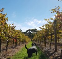 Ruddenklau Wines - Accommodation Cairns