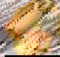 JFC - Accommodation Cairns