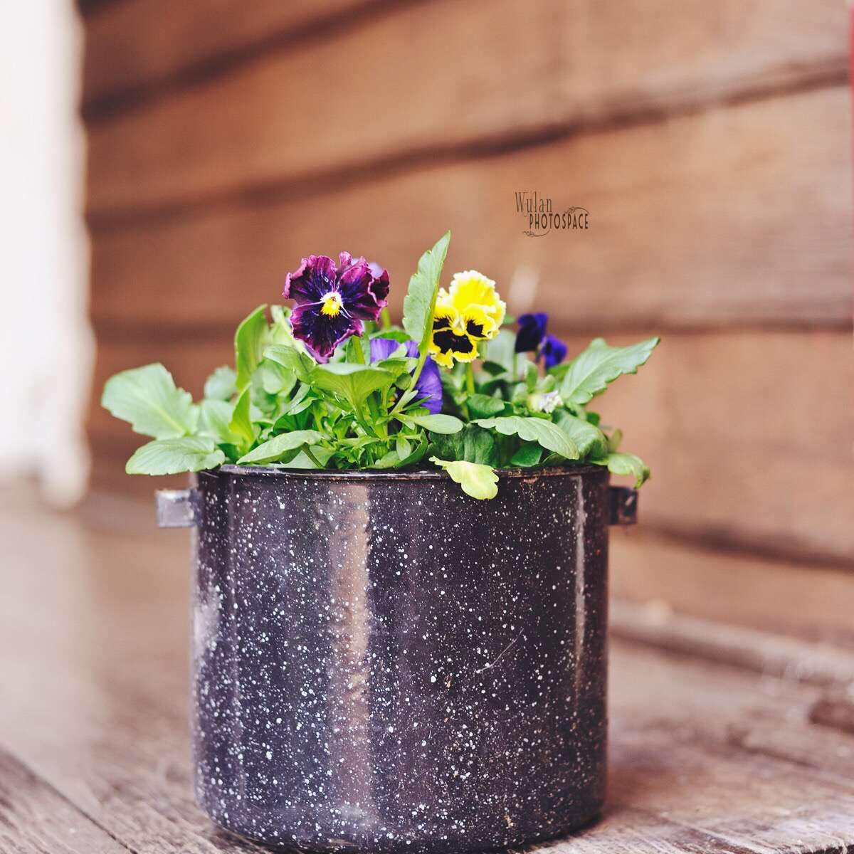 Talbot WA Accommodation Cairns