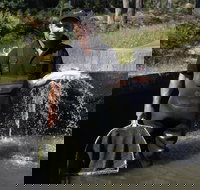 41 Degrees South Tasmania - Accommodation Cairns