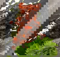 Royal India Restobar - Accommodation Cairns