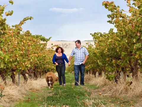 WayWood Wines - Accommodation Cairns 0