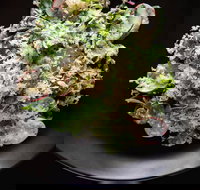 Arthur Waterhouse Lounge - Accommodation Cairns