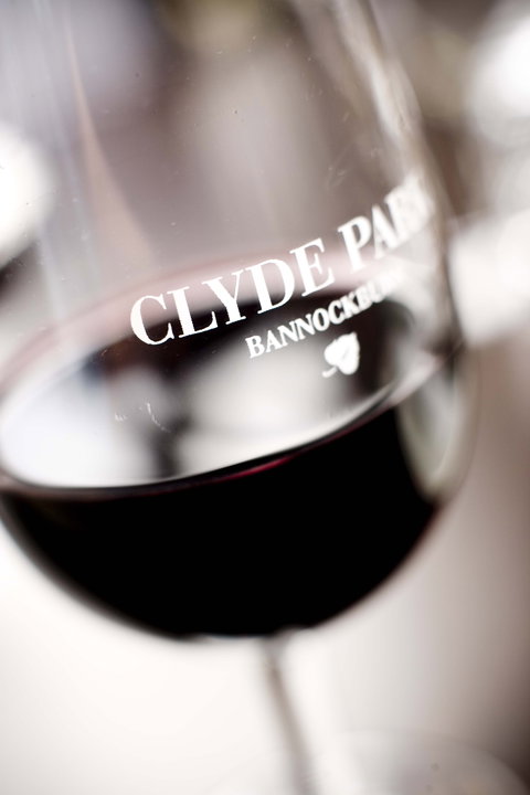 Clyde Park Vineyard & Bistro - Accommodation Cairns 0