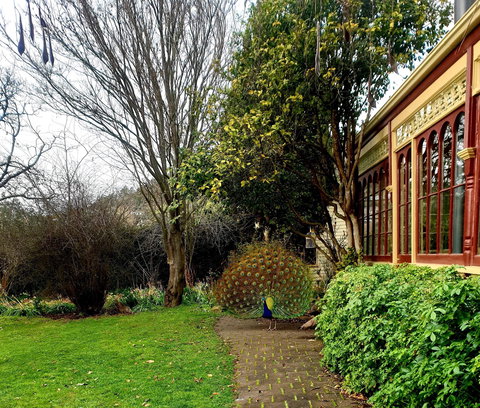 Glen Derwent Tea Rooms - Accommodation Cairns 0