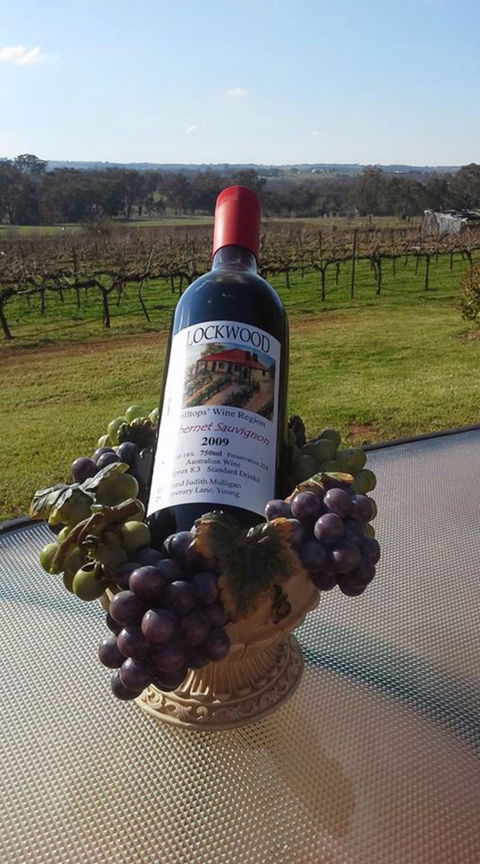 Lockwood Vineyard - Accommodation Cairns 2