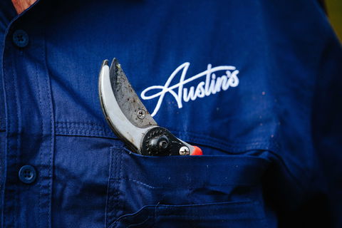 Austin's Wines - Accommodation Cairns 2