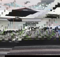 Basia Mille - Accommodation Cairns