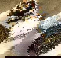 Frollicking Frog - Accommodation Cairns