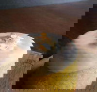 Hungry Grasshopper - Accommodation Cairns