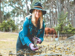 Mystery Bay Restaurants and Takeaway Accommodation Cairns Accommodation Cairns