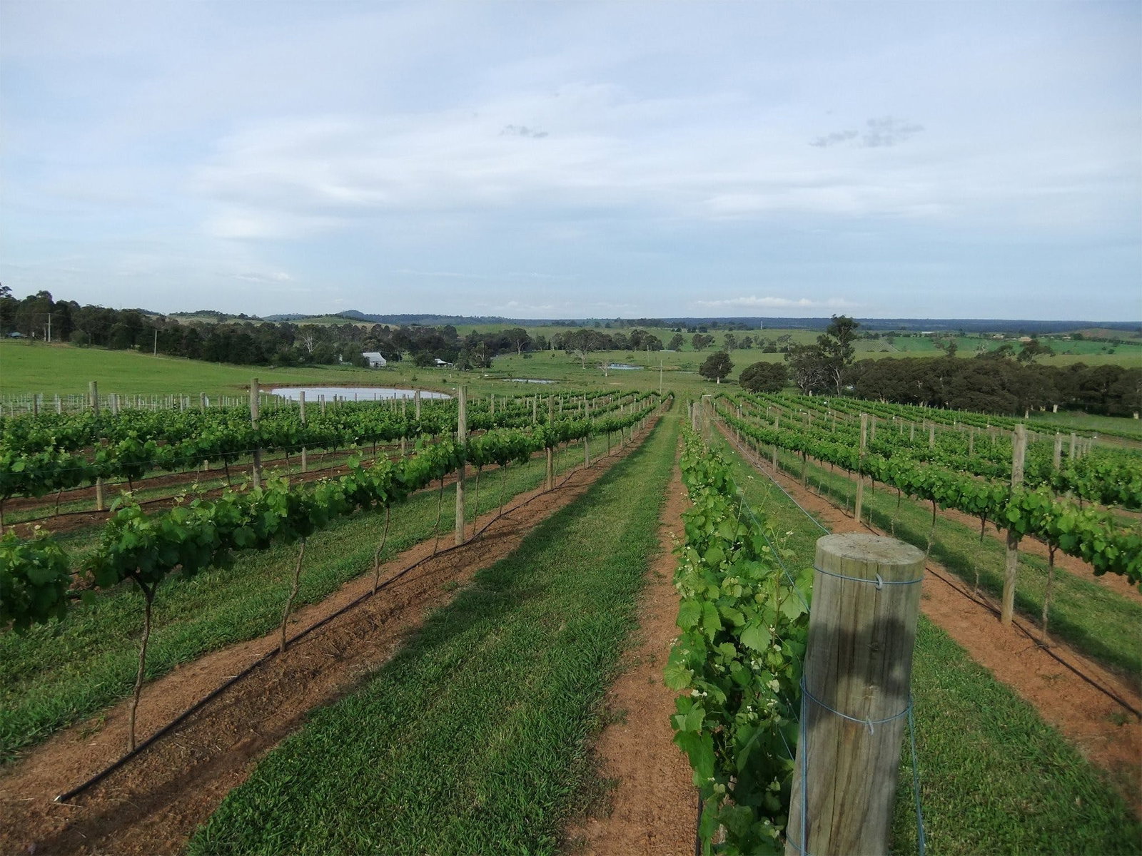 Menangle NSW Accommodation Cairns