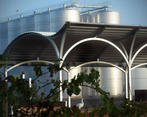 Andrew Peace Wines - Accommodation Cairns 2