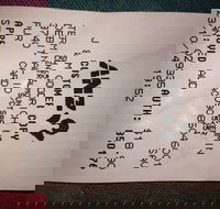 Bubba Pizza - Mount Barker - Accommodation Cairns