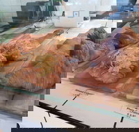 Ganache Chocolate - Accommodation Cairns