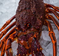 Lobster Shack Tasmania - Accommodation Cairns