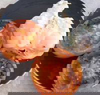 The Deck Poolside Bar  Restaurant - Accommodation Cairns