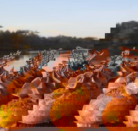 Wharf Street Cafe - Accommodation Cairns