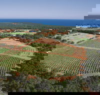 Wise Wine - Accommodation Cairns