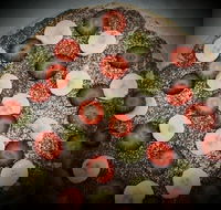 Sam's Gourmet Pizzas