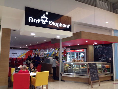 Ant & Elephant - Accommodation Cairns 0