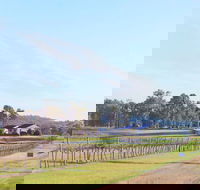 Blacklea Vineyard and Olive Grove - Accommodation Cairns