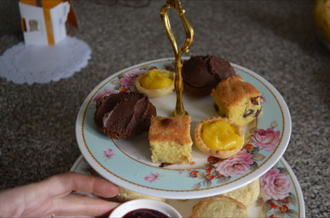 Lazy Teas - Accommodation Cairns 1