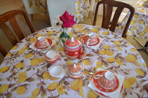 Lazy Teas - Accommodation Cairns 2