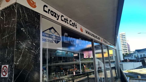 Crazy Cat Cafe - Accommodation Cairns 0