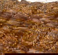 Kolachi - Accommodation Cairns