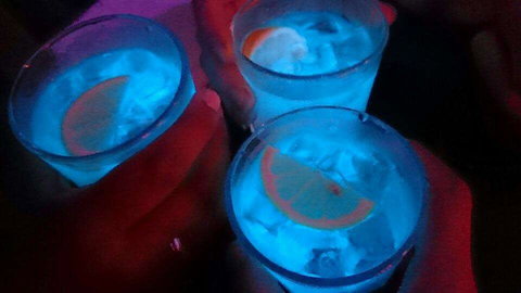 Humming Bird Dutch Cakes - Accommodation Cairns 0