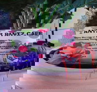 Antz Pantz Cafe - Accommodation Cairns