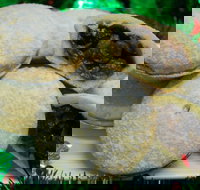 Uncle Bob's Bakery - Thornlands