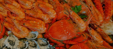Charis Seafood - Accommodation Cairns 0