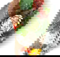 Elixiba - Accommodation Cairns