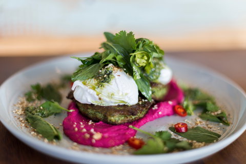 Native - Accommodation Cairns 1