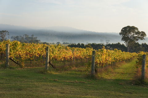 Rusty Fig Wines - Accommodation Cairns 1