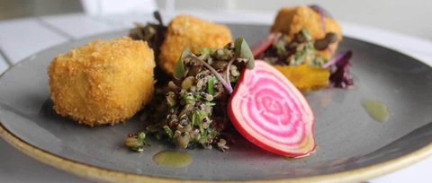 East Ivy - Accommodation Cairns 0