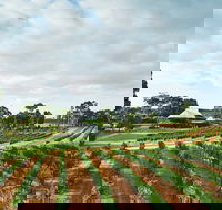 Vasse Felix Winery - Accommodation Cairns