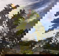 Banca Ridge Cellar Door and Vineyard - Accommodation Cairns