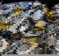 View 42o - Accommodation Cairns