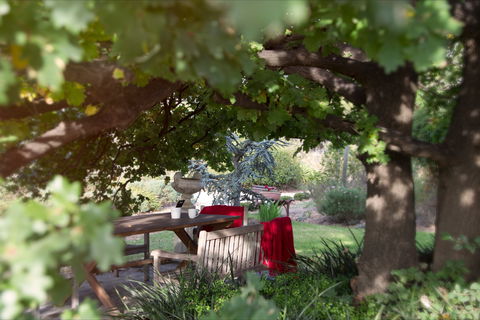 Bannockburn Station - Accommodation Cairns 1