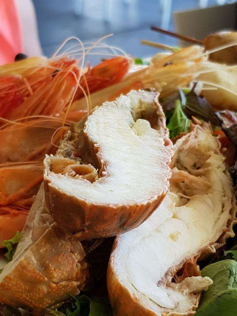 Bribie Island Surf Club - Accommodation Cairns 0